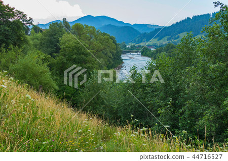 A blossoming slope, trees and a river with a bum i A blossoming slope, trees and a river with a bum i 44716527