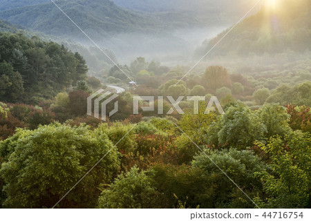 Secret Garden, Inje County, Gangwon Province 44716754