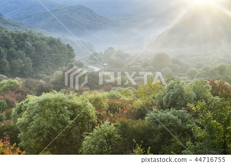 Secret Garden, Inje County, Gangwon Province 44716755