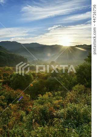 Secret Garden, Inje County, Gangwon Province 44716756