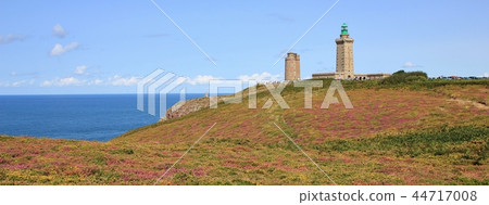 Old lighthouse and flowers at Cap Frehel. 44717008