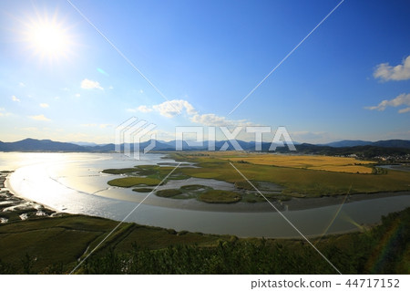秋天,蘆葦,蘆葦,秋天風景,順天灣 秋天,蘆葦,蘆葦,秋天風景,順天灣 44717152