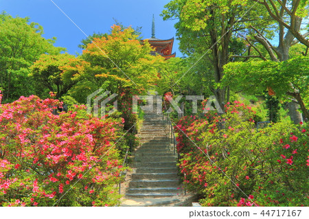 Fresh green Ikuchijima Shoji Temple 44717167