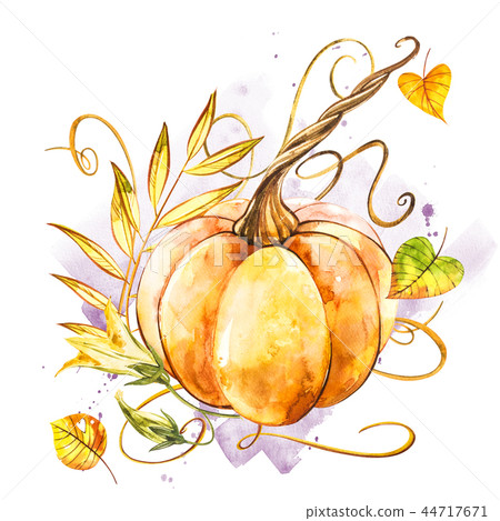 Pumpkin. Hand drawn watercolor painting on white background. Watercolor illustration with a splash. Pumpkin. Hand drawn watercolor painting on white background. Watercolor illustration with a splash. 44717671