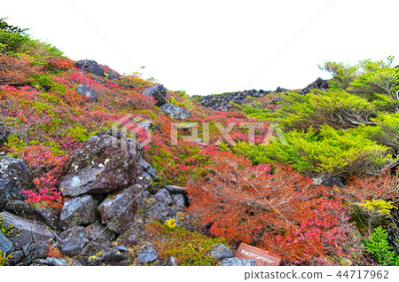 Kita Yatsugatake Tsuboi Gardens Kita Yatsugatake Tsuboi Gardens 44717962