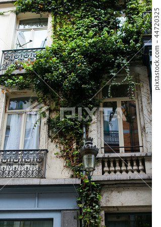 European house with ivy. European house with ivy. 44720325