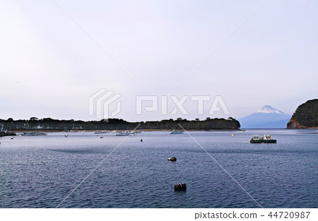 [靜岡縣]大浜崎，戶田港富士山，春天的風景 44720987