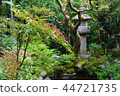 Southern Heaven in Garden 44721735