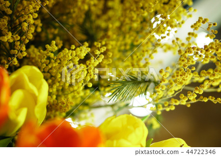 Bouquet of mimosa and tulips Bouquet of mimosa and tulips 44722346