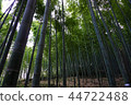 Bamboo chopsticks 44722488
