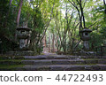 Kyoto entrance 44722493