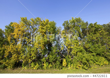autumn landscape 44722811