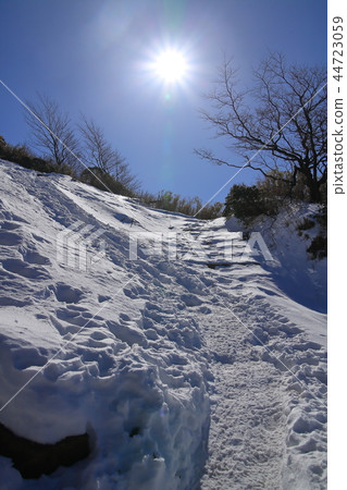 Mountain trail between Mt. Mt. Hao and Sannoto in Kanagawa in winter Mountain trail between Mt. Mt. Hao and Sannoto in Kanagawa in winter 44723059