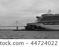 cruise 44724022
