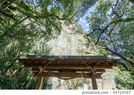 花洞神社143 花洞神社143 44724587