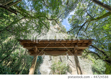 花洞神社125 花洞神社125 44724588