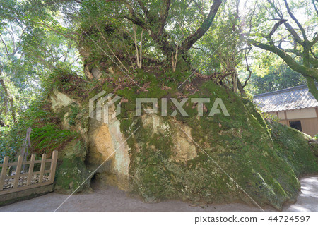 花洞神社87 花洞神社87 44724597