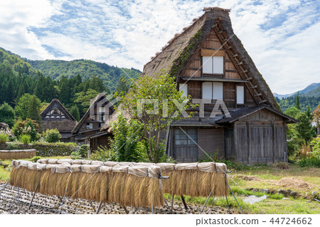 Shirakawa-go Inagi and Gassho-built house in autumn Shirakawa-go Inagi and Gassho-built house in autumn 44724662