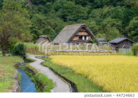 秋天Shirakawago米住房 秋天Shirakawago米住房 44724663