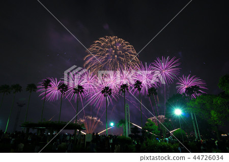 Nagoya Port Water Art Fireworks Festival 83 44726034