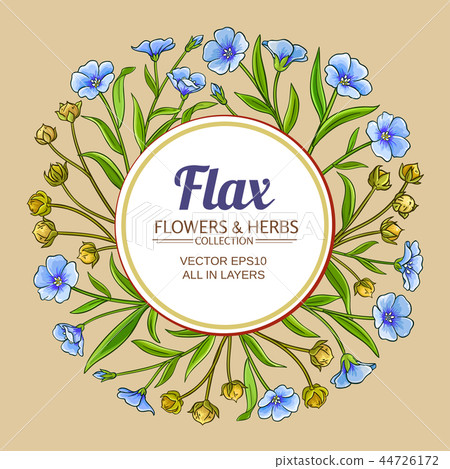 flax vector frame 44726172