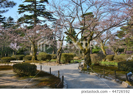 穿過Kenrokuen和Bairin的花園小路（1） 44726592