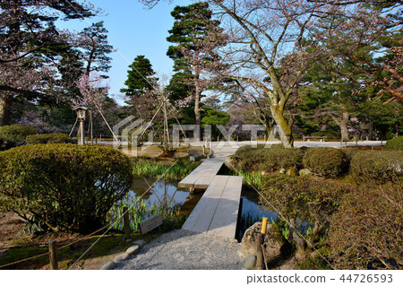 有趣的橋（1）掛在Kenrokuen花園，Bairin的果園路/彎曲的水（水路） 44726593