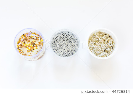 Seeds soak in bowls isolated on white background  44726814