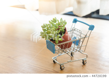 Mini shopping cart with small plant in a pot Mini shopping cart with small plant in a pot 44728199