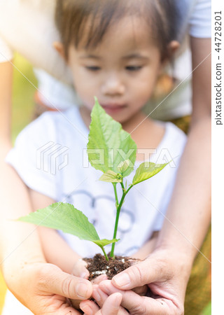 Asian girl and mother's hands holding small plant 44728201