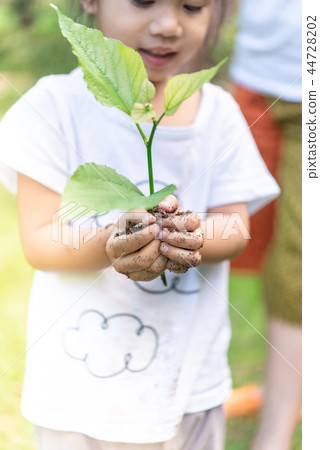Asian girl hands holding small plant Asian girl hands holding small plant 44728202