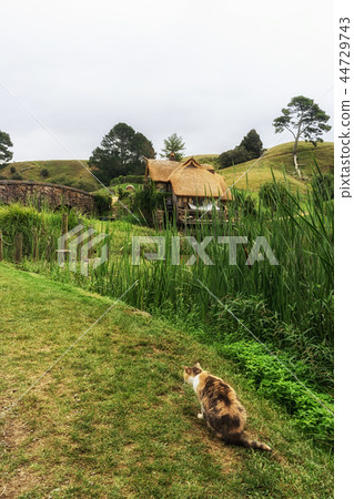 hobbiton mill with cat 44729743