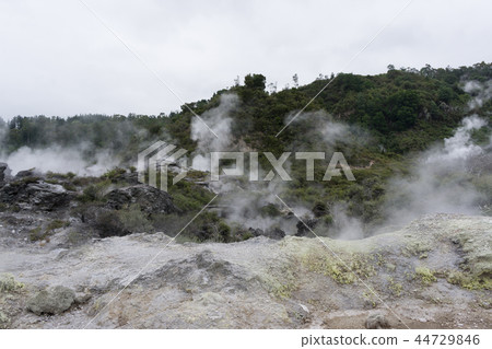 te puia geothermal valley 44729846