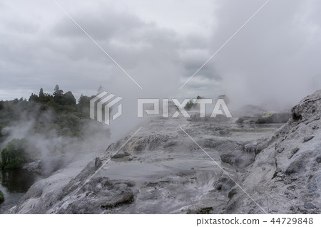 te puia geothermal valley 44729848