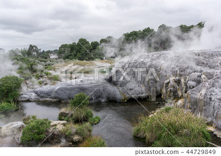 te puia geothermal valley 44729849