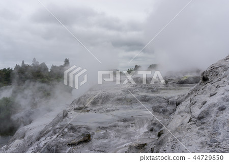 te puia geothermal valley 44729850