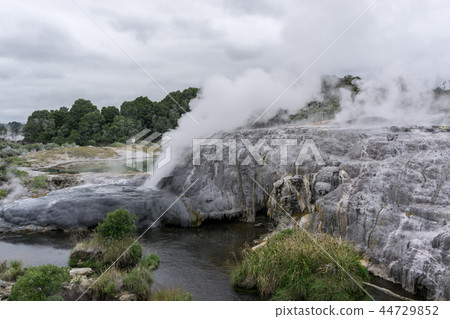 te puia geothermal valley te puia geothermal valley 44729852