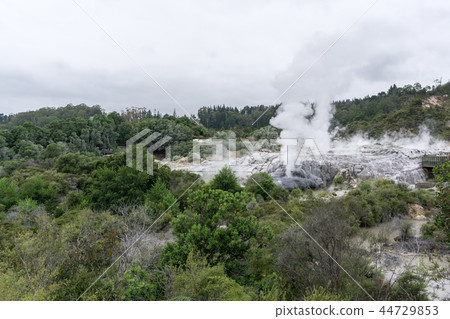 te puia geothermal valley 44729853