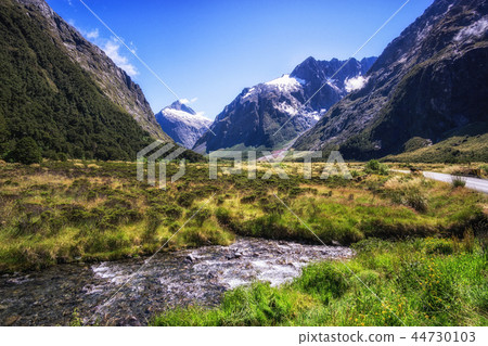 hollyford valley creek 44730103