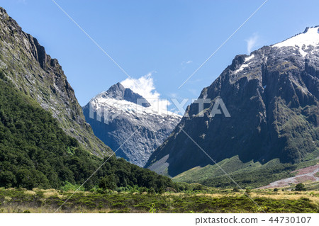 hollyford valley landscape 44730107