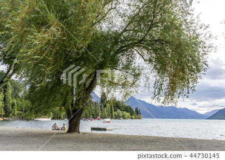 lake wakatipu view in queenstown lake wakatipu view in queenstown 44730145