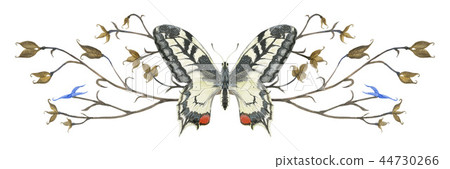 Nature design vignette with butterfly  and plants 44730266