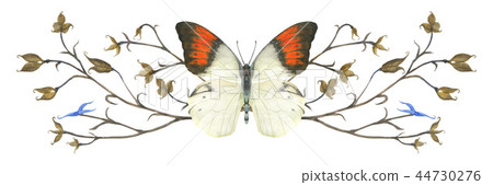 Nature design vignette with butterfly  and plants 44730276