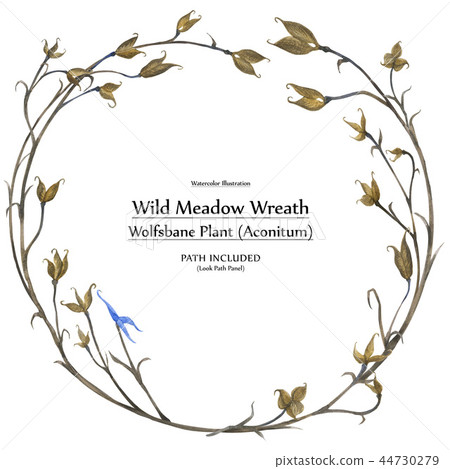 Eco design wreath Aconitum plant Eco design wreath Aconitum plant 44730279