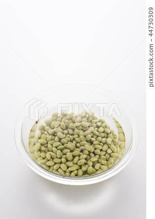 Soak the beans back in water 44730309