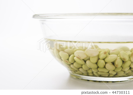 將豆子浸泡在水中 44730311