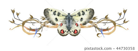 Nature design vignette with butterfly and plants 44730358