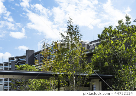 時尚的公寓 44732134