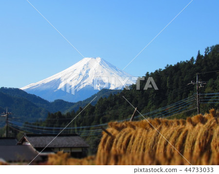 富士山 44733033