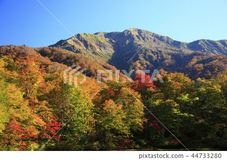 Autumn leaves of the clipping pond 44733280